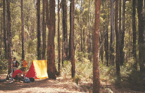 Stringers Camp At Lane Poole Reserve - Darwin Tourism 1