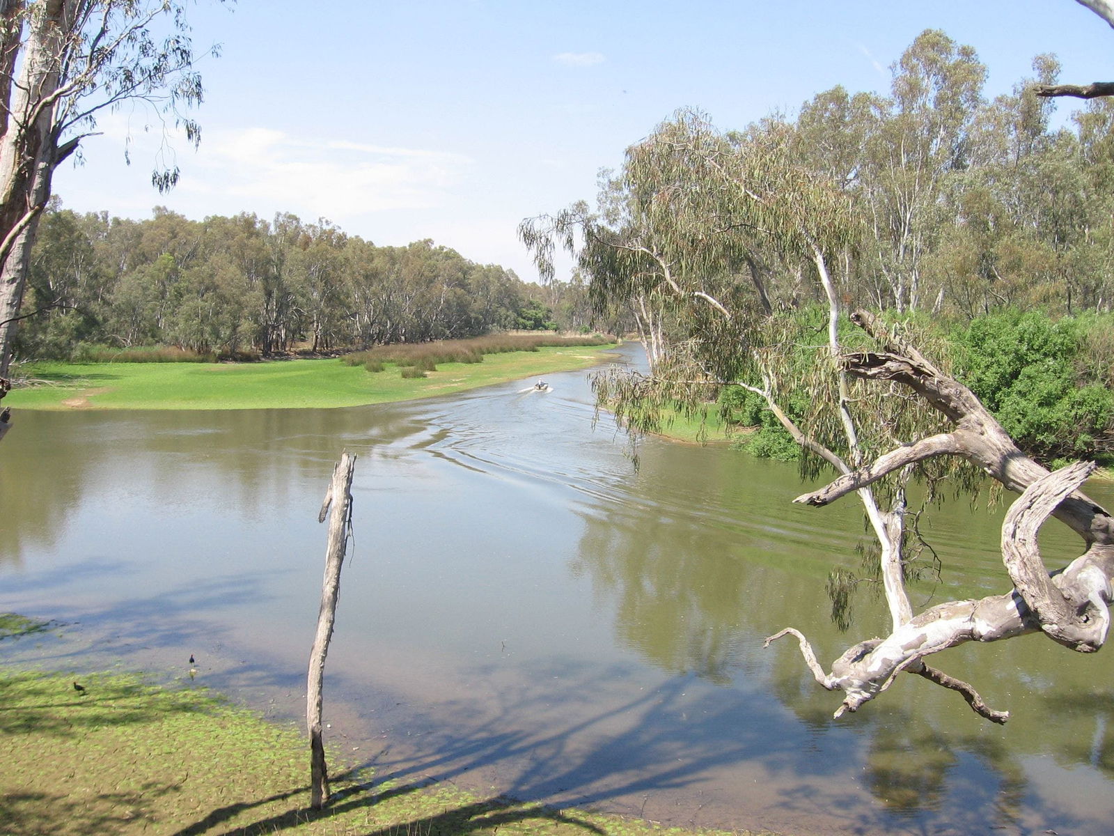Collendina NSW Darwin Tourism