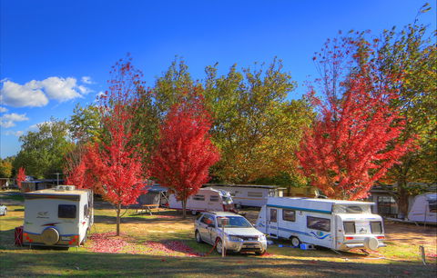 Beechworth Lake Sambell Caravan Park - Darwin Tourism 0
