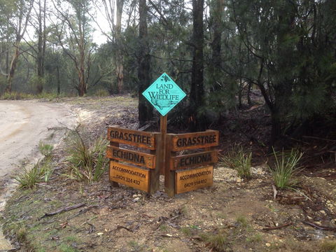 Echidna On Bruny - Darwin Tourism 1