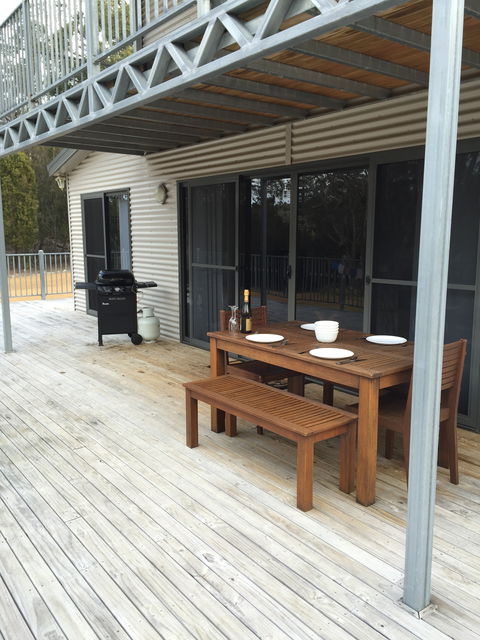 Echidna On Bruny - Darwin Tourism 2