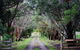 Galwiji Homestead - thumb 1