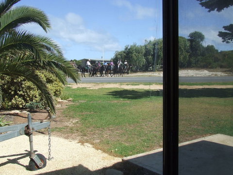 Seahorse Beach Shack - Darwin Tourism 1