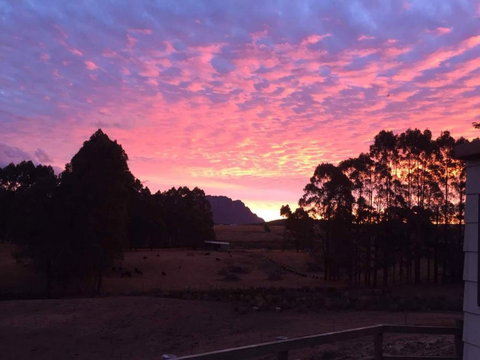 White Hawk Accommodation - Darwin Tourism 1