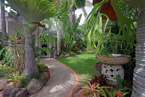 Allure - Darwin Tourism 0