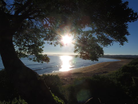 Apex Beachside Holiday Park - Darwin Tourism 1