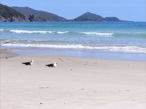 Eagles Rise Tasmania - Darwin Tourism 0