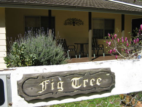 Figtree Cottage - Darwin Tourism 0