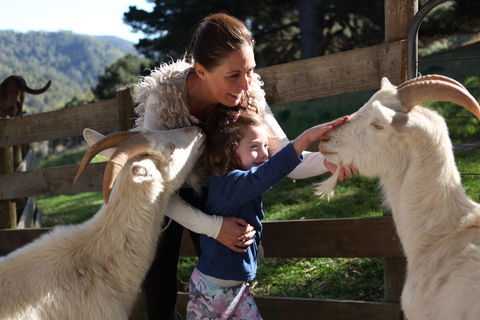 Valley View Nature Retreat - Darwin Tourism 1