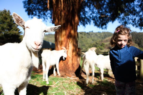 Valley View Nature Retreat - Darwin Tourism 2