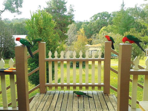 Warrumbungles Mountain Motel - Darwin Tourism 0