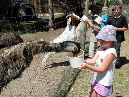 Bairnsdale Holiday Park - Darwin Tourism 2
