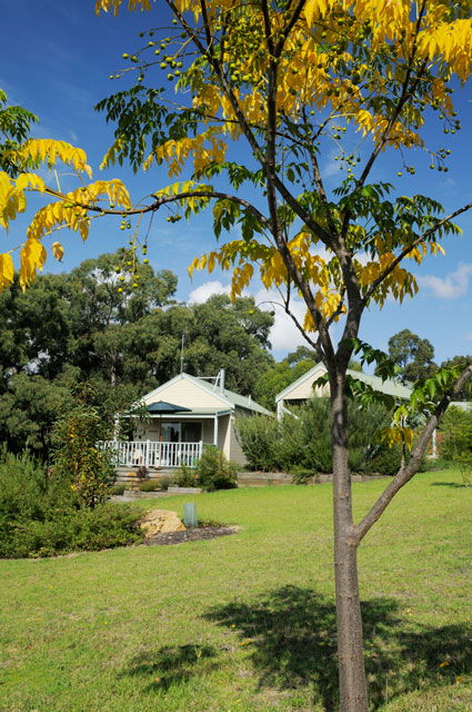 Stringybark Cottages - Darwin Tourism 2