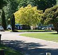 Mitchell Gardens Holiday Park - Darwin Tourism