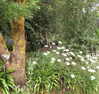 Springbank Bed and Breakfast - Darwin Tourism
