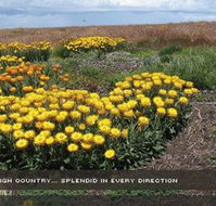 Alpine View Apartments - Darwin Tourism