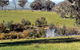 Gaddleen Grove Cottages - thumb 5