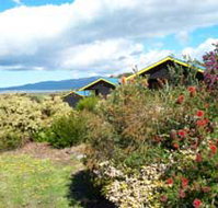 Black Cockatoo Cottages - Darwin Tourism