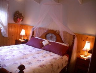 Alfay Cottage - Darwin Tourism 1