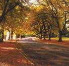 La Trobe at Beechworth - Darwin Tourism