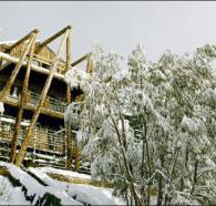 Silverski - Darwin Tourism