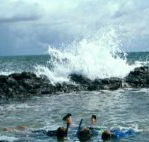 Bargara Beach Motor Inn - Darwin Tourism