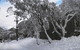 Mulligatawny Ski Club - thumb 1