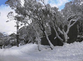Mulligatawny Ski Club - Darwin Tourism 1