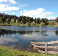 Glenlynn Cottages