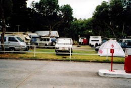 Windsor Gardens Caravan Park - Darwin Tourism 0