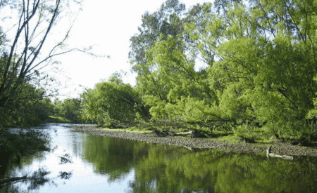 Ribbonwood Cottages - Darwin Tourism