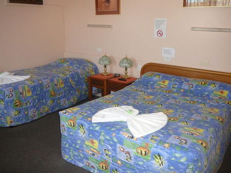 Civic Motel Grafton - Darwin Tourism 2