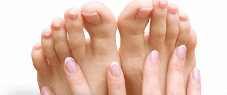 Ella Bache - Darwin Tourism