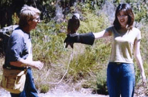 Eagles Heritage Raptor Wildlife Centre - Darwin Tourism 2