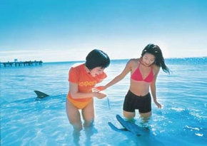 Atwell WA Darwin Tourism