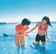 Kookaburra Air - Darwin Tourism