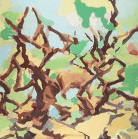 Edwina Corlette Gallery - Darwin Tourism 2