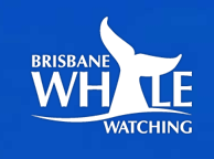 Brisbane Whale Watching - Darwin Tourism 3