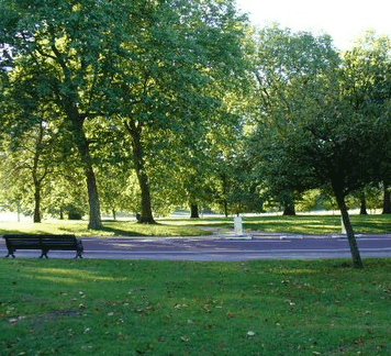 Roma Street Parkland - Darwin Tourism