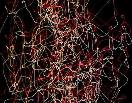 Eleven40 Gallery - Darwin Tourism 1