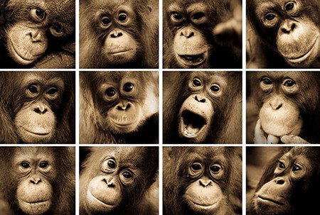 Eleven40 Gallery - Darwin Tourism 3