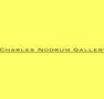 Charles Nodrum Gallery - Darwin Tourism