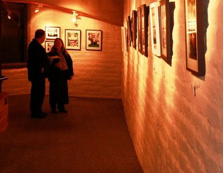 Eltham Library Community Gallery - Darwin Tourism 1