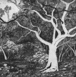 Tacit Contemporary Art - Darwin Tourism 0