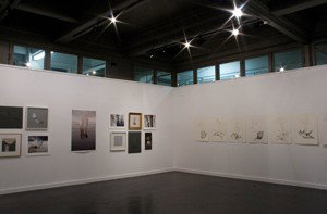 Pigment Gallery - Darwin Tourism 1