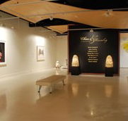Counihan Gallery In Brunswick - Darwin Tourism