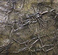 Hawthorn Studio  Gallery - Darwin Tourism