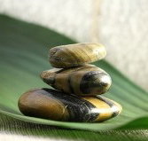 The Nature of Balance - Darwin Tourism