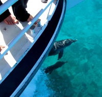 Pelican Charters - Darwin Tourism