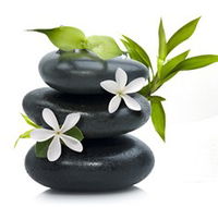 Tea House Spa Sauna - Darwin Tourism